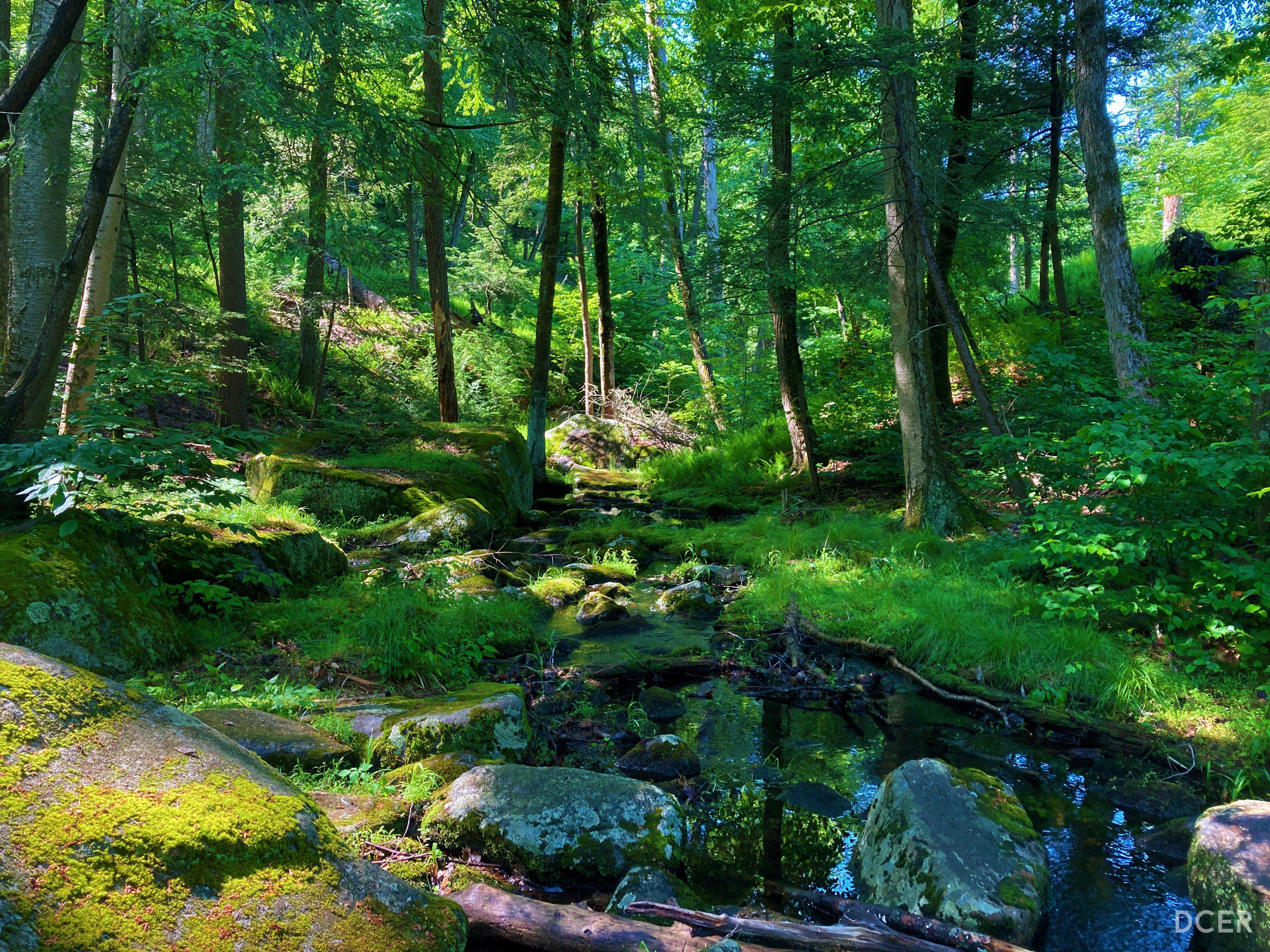 dcerone homepage image